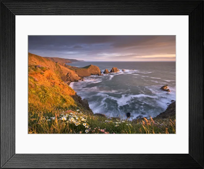 Framed Print : Glorious evening sunlight illuminates the dramatic cliffs of Hartland Quay, looking Framed Print : Glorious evening sunlight illuminates the dramatic cliffs of Hartland Quay, looking