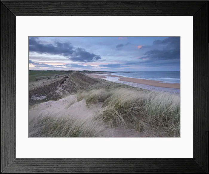 Framed Print : Sand Dunes above Embleton Beach during twilight, Northumberland, England. Spring (May) Framed Print : Sand Dunes above Embleton Beach during twilight, Northumberland, England. Spring (May)