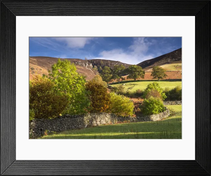 Framed Print : Dry stone wall bordered by autumnal trees, Lake District, Cumbria, England. Autumn Framed Print : Dry stone wall bordered by autumnal trees, Lake District, Cumbria, England. Autumn