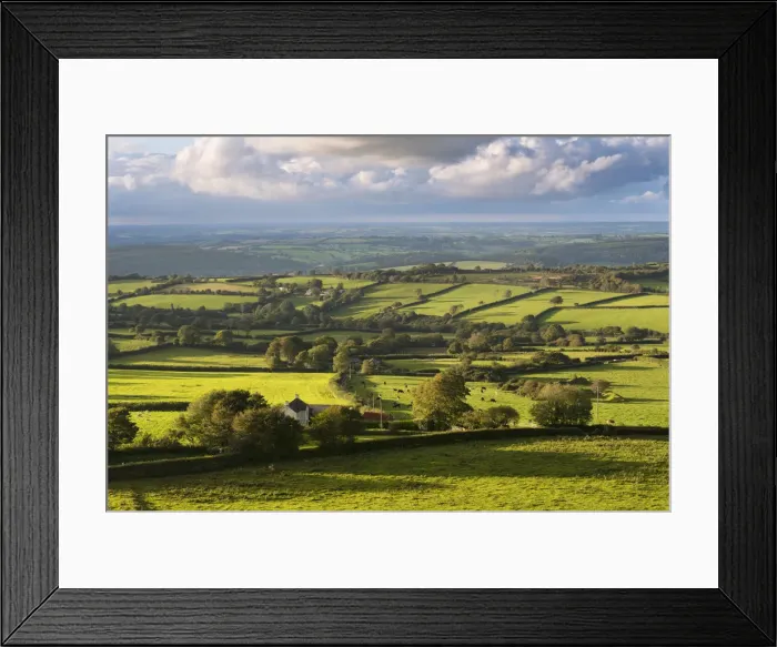 Framed Print : Rolling Dartmoor countryside, Brentor, Devon, England. Autumn (September) Framed Print : Rolling Dartmoor countryside, Brentor, Devon, England. Autumn (September)