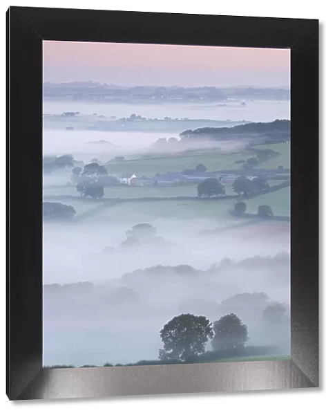 Mist covered countryside at dawn, Stockleigh Pomeroy, Devon, England. Autumn (September)