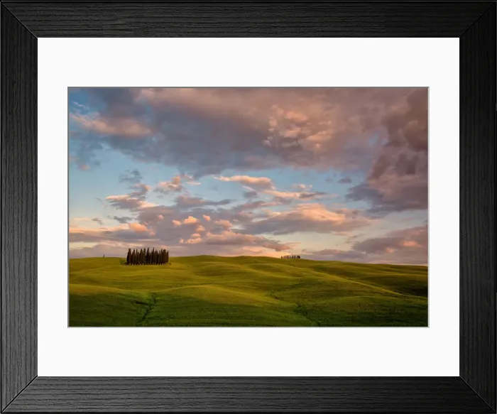 Framed Print : The Cypresses of the Val d Orcia at sunset Framed Print : The Cypresses of the Val d Orcia at sunset
