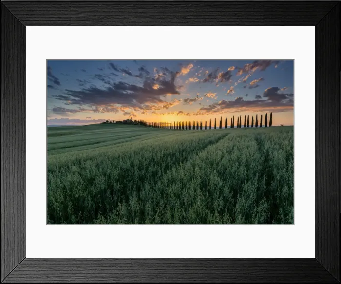 Framed Print : The colors of the Val d Orcia, Poggio Covili, Tuscany, Italy Framed Print : The colors of the Val d Orcia, Poggio Covili, Tuscany, Italy