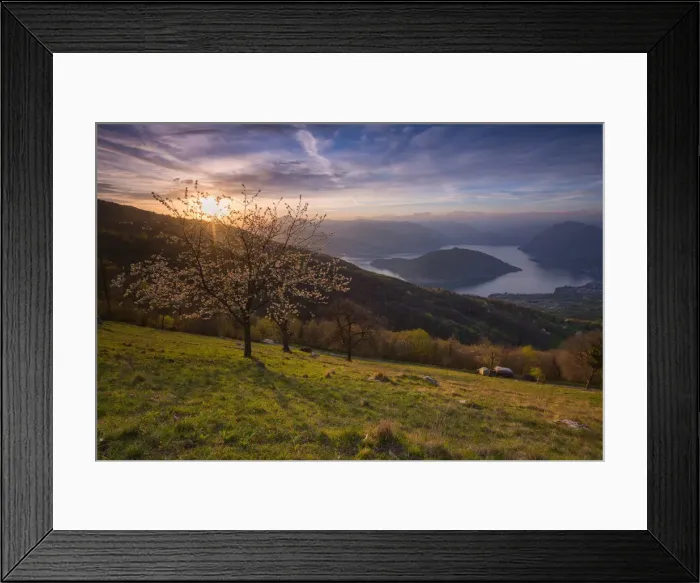 Framed Print : Iseo lake at Sunset, province of Brescia, Italy Framed Print : Iseo lake at Sunset, province of Brescia, Italy
