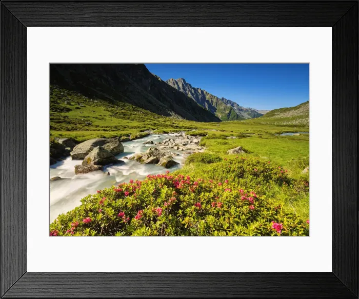 Framed Print : Adame valley in Adamello park, Brescia province, Lombardy, Italy Framed Print : Adame valley in Adamello park, Brescia province, Lombardy, Italy