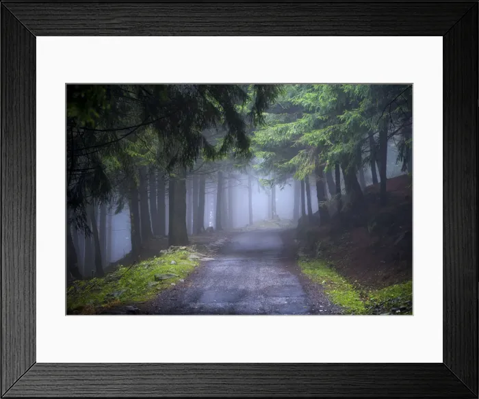 Framed Print : Autumn atmosphere, Brescia province, Lombardy district, Italy, Europe Framed Print : Autumn atmosphere, Brescia province, Lombardy district, Italy, Europe