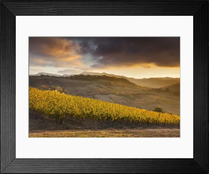 Framed Print : Tortona hills, Alessandria province, Piedmont, Italy, Europe Framed Print : Tortona hills, Alessandria province, Piedmont, Italy, Europe