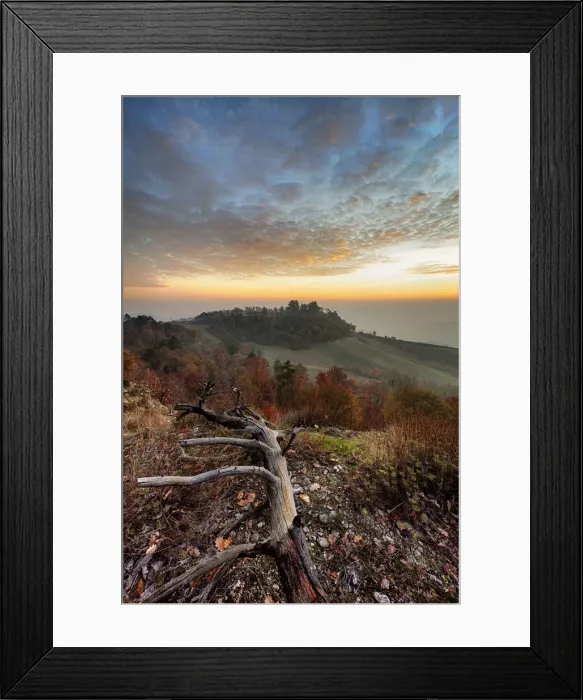 Framed Print : Oltrepo hills, Pavia province, Lombardy, Italy, Europe Framed Print : Oltrepo hills, Pavia province, Lombardy, Italy, Europe