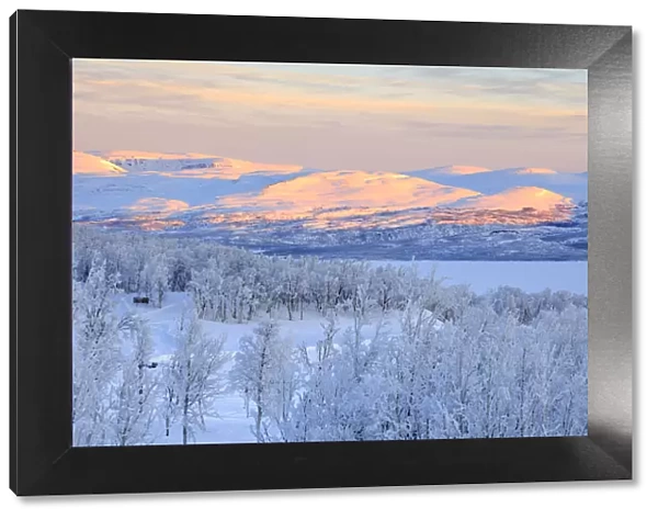 Panoramic of sunrise on the snowy landscape, Bjorkliden, Abisko, Kiruna Municipality