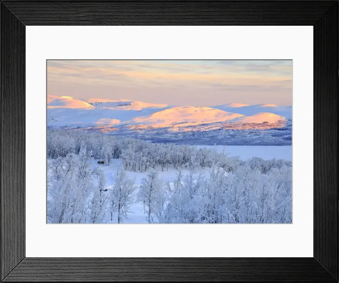 Framed Print : Panoramic of sunrise on the snowy landscape, Bjorkliden, Abisko, Kiruna Municipality Framed Print : Panoramic of sunrise on the snowy landscape, Bjorkliden, Abisko, Kiruna Municipality