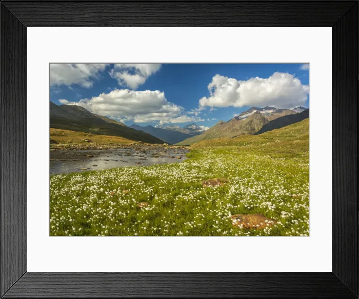 Framed Print : Gaviapass, Stelvio national park, province of Brescia, Italy