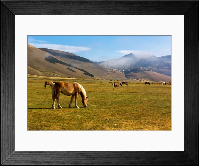 Framed Print : Castelluccio di Norcia, Umbria region, Perugia province, Italy, Europe Framed Print : Castelluccio di Norcia, Umbria region, Perugia province, Italy, Europe