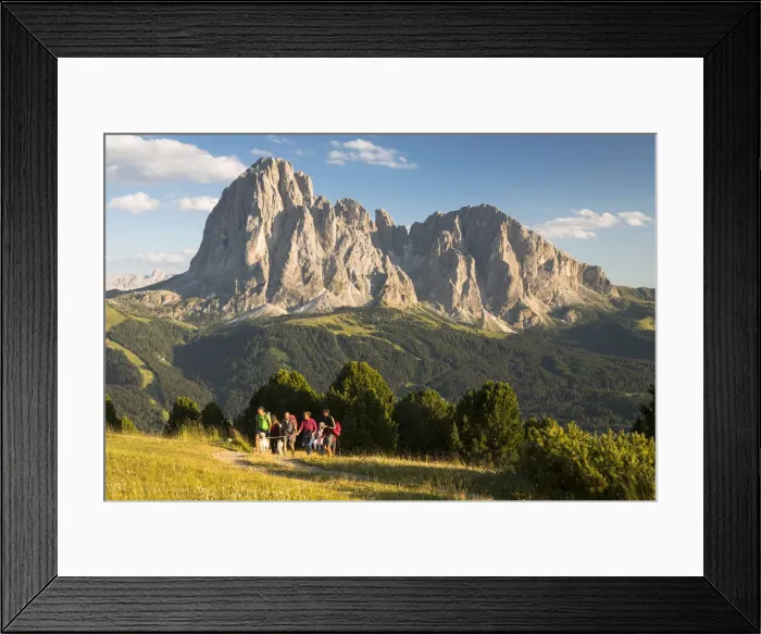 Framed Print : a group of hikers is walking in Val Gardena with the Langkofel and Plattkofel in Framed Print : a group of hikers is walking in Val Gardena with the Langkofel and Plattkofel in