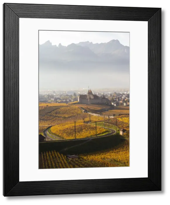 Framed Print : View of the medieval Aigle castle and the surrounding vineyards and railway in autumn