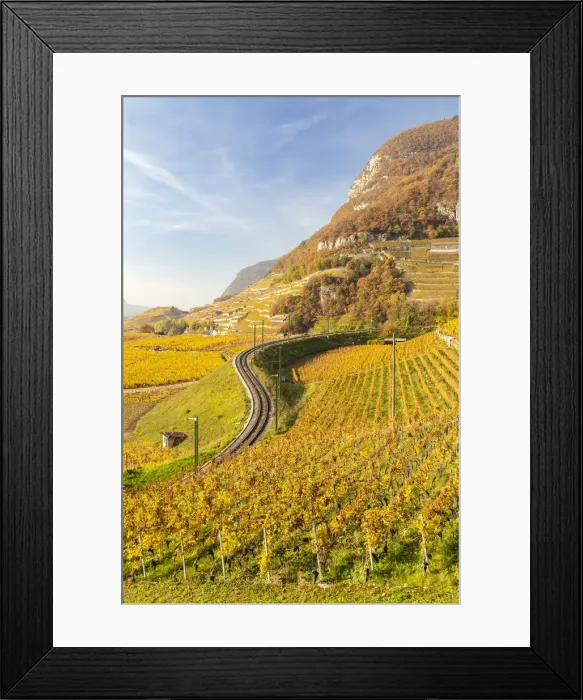 Framed Print : View of the railway and the surrounding vineyards of Aigle castle in autumn Framed Print : View of the railway and the surrounding vineyards of Aigle castle in autumn