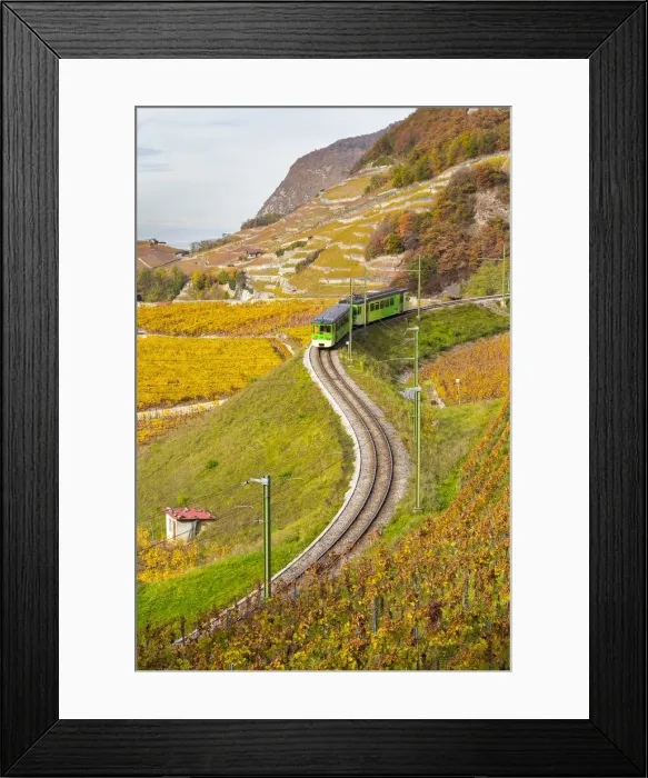 Framed Print : View of the train and railway in the surrounding vineyards of Aigle castle in autumn Framed Print : View of the train and railway in the surrounding vineyards of Aigle castle in autumn