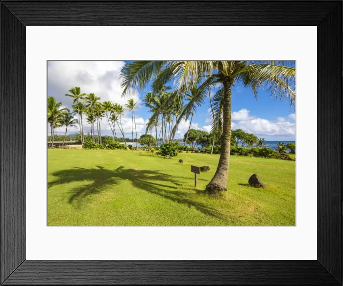 Framed Print : Palm trees on Kauai island, Hawaii, USA Framed Print : Palm trees on Kauai island, Hawaii, USA