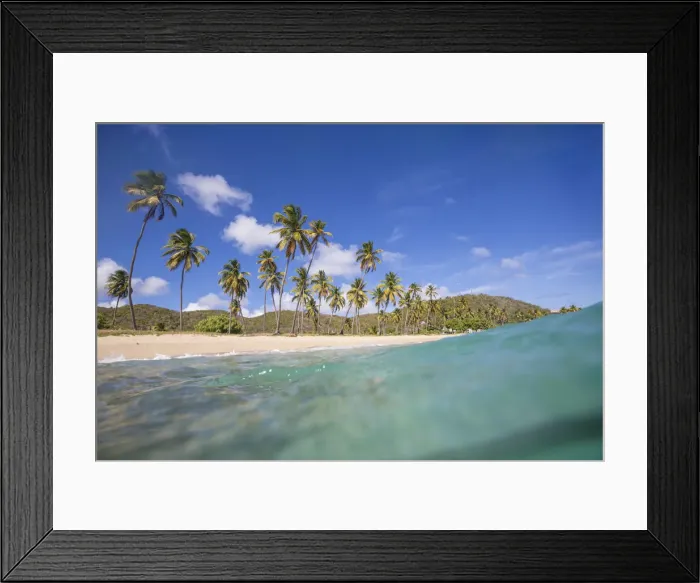 Framed Print : Underwater view of the sandy beach surrounded by palm trees Carlisle Morris Bay Antigua Framed Print : Underwater view of the sandy beach surrounded by palm trees Carlisle Morris Bay Antigua