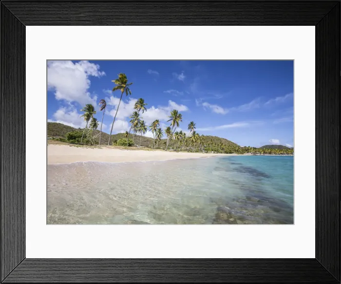 Framed Print : The long beach surrounded by palm trees and the Caribbean Sea Carlisle Morris Bay Antigua Framed Print : The long beach surrounded by palm trees and the Caribbean Sea Carlisle Morris Bay Antigua