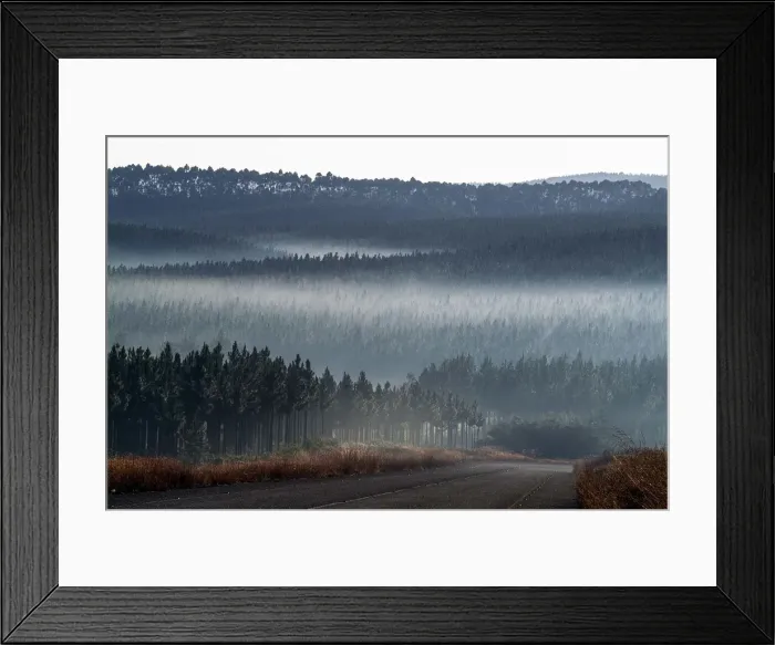 Framed Print : Fog on a mountain landscape of the Mpumalanga, region of South Africa Framed Print : Fog on a mountain landscape of the Mpumalanga, region of South Africa