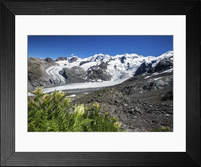 Framed Print : The amazing Morteratsch glacier meeting the Pers glaciers from the trail to Piz Framed Print : The amazing Morteratsch glacier meeting the Pers glaciers from the trail to Piz