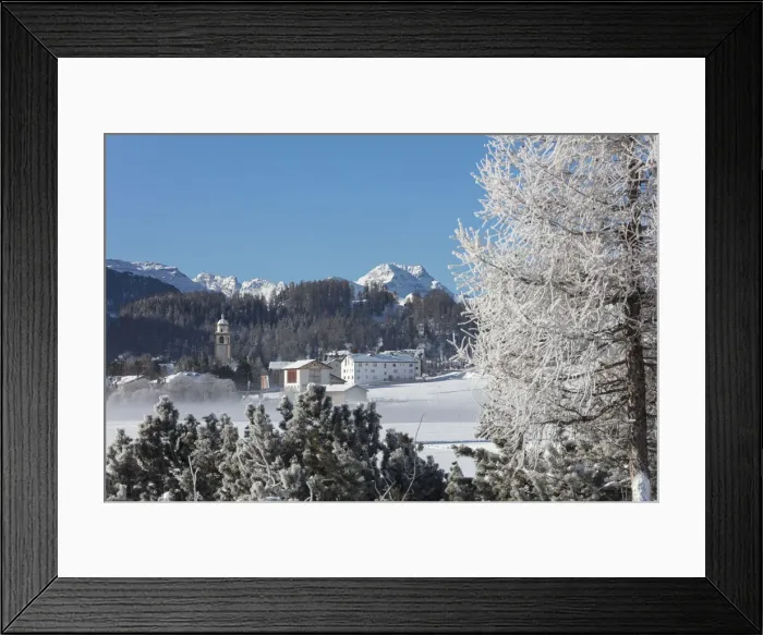 Framed Print : Frost on trees frames the snowy landscape and alpine village Celerina Maloja Canton Framed Print : Frost on trees frames the snowy landscape and alpine village Celerina Maloja Canton