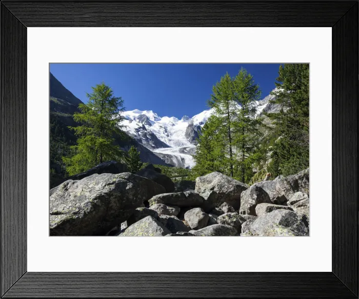 Framed Print : Glaciers of the Bernina group seen from the Valley of Morteratsch by Pontresina Framed Print : Glaciers of the Bernina group seen from the Valley of Morteratsch by Pontresina