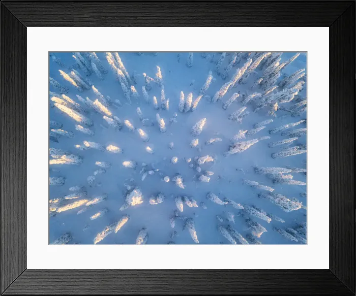 Framed Print : Aerial view of frozen trees in the snow covered woods, Levi, Kittila, Lapland, Finland Framed Print : Aerial view of frozen trees in the snow covered woods, Levi, Kittila, Lapland, Finland