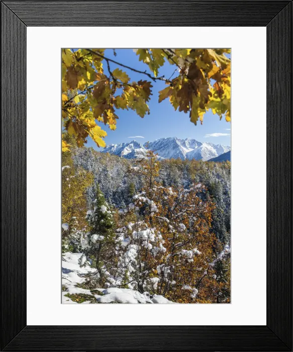 Framed Print : View and autumn colors over Corno Baitone and Mount Avio in the Adamello range Framed Print : View and autumn colors over Corno Baitone and Mount Avio in the Adamello range