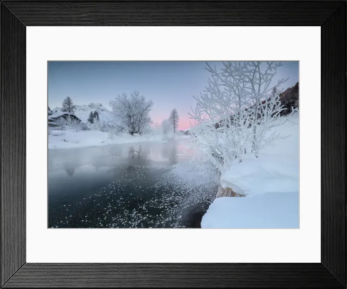Framed Print : The frozen river Inn framed by trees covered with snow and frost at dawn Sils Canton Framed Print : The frozen river Inn framed by trees covered with snow and frost at dawn Sils Canton