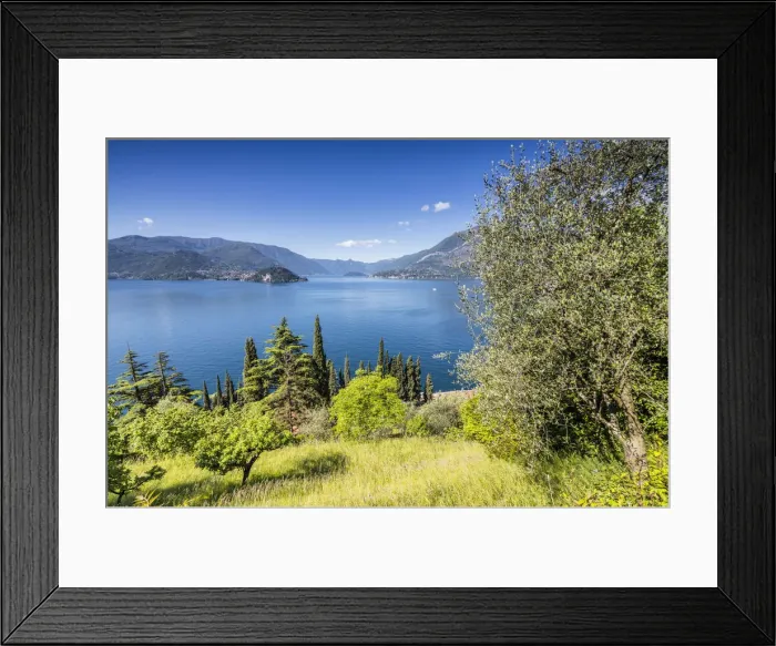 Framed Print : Cherry trees and meadows around the village of Varenna surrounded by Lake Como Province Framed Print : Cherry trees and meadows around the village of Varenna surrounded by Lake Como Province
