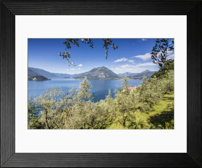 Framed Print : Cherry trees around the village of Varenna surrounded by the blue water of Lake Como Framed Print : Cherry trees around the village of Varenna surrounded by the blue water of Lake Como