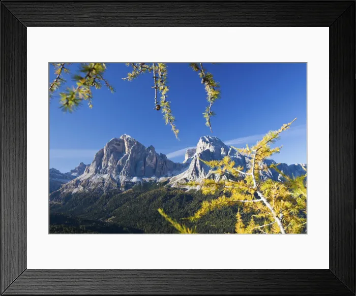 Framed Print : The colours of the autumn are embracing the Tofana di Rozes and the Tofana di Mezzo Framed Print : The colours of the autumn are embracing the Tofana di Rozes and the Tofana di Mezzo