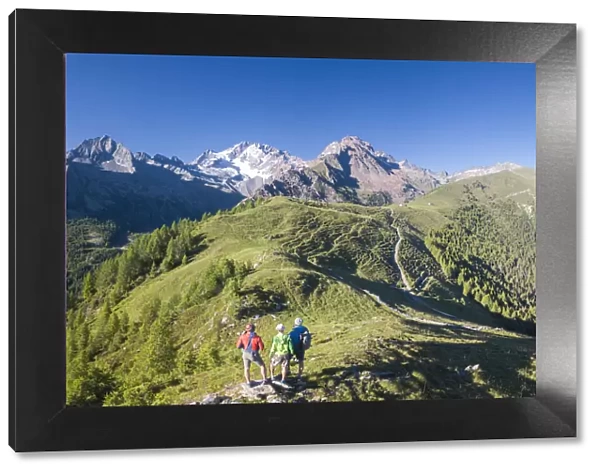 Panoramic of hikers at Scermendone Alp and Monte Disgrazia, Sondrio province, Valtellina