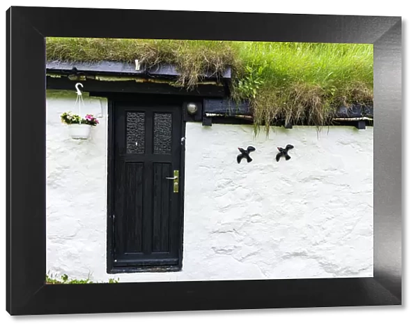 Flowerpot and ornaments on facade of iconic house with grass roof, Mykines island