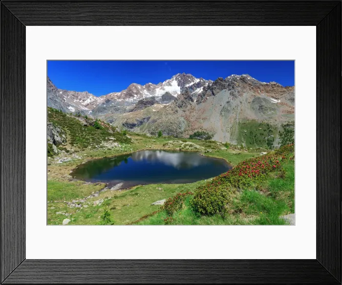 Framed Print : Alpine lake of Lago di Zana, in front of Mount Disgrazia, Valmalenco, Province of Sondrio Framed Print : Alpine lake of Lago di Zana, in front of Mount Disgrazia, Valmalenco, Province of Sondrio