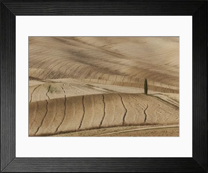 Framed Print : Orcia Valley fields in autumn, Italy, Tuscany, Siena District, San Quirico Framed Print : Orcia Valley fields in autumn, Italy, Tuscany, Siena District, San Quirico