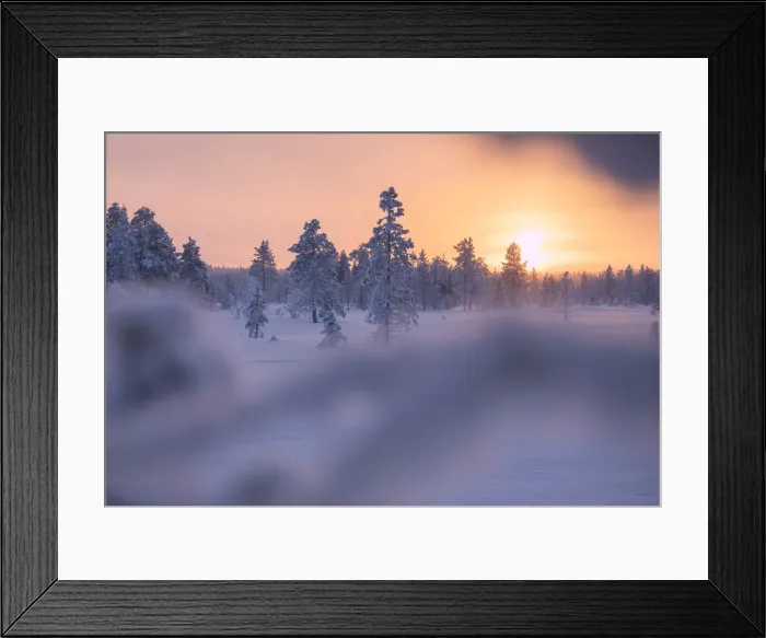 Framed Print : Sunset on snowy woods, Luosto, Sodankyla municipality, Lapland, Finland Framed Print : Sunset on snowy woods, Luosto, Sodankyla municipality, Lapland, Finland