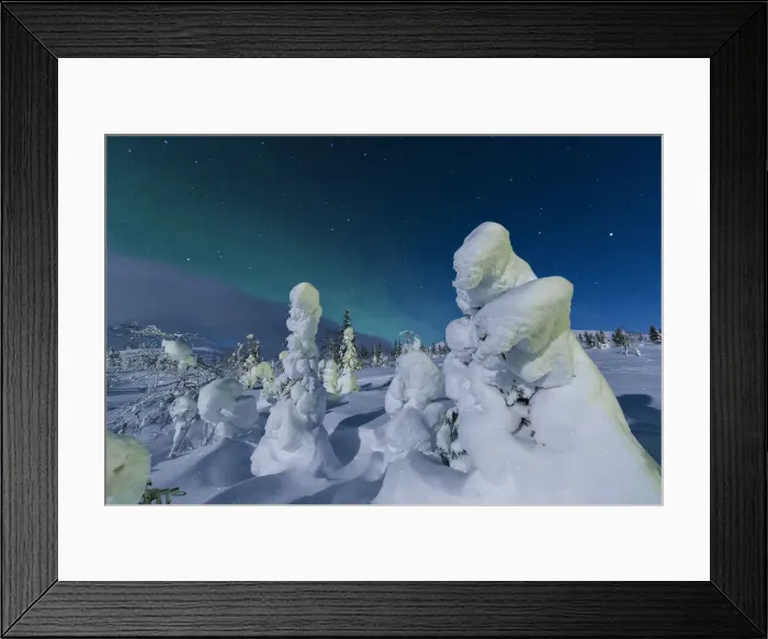 Framed Print : Northern lights on frozen dwarf shrubs, Pallas-Yllastunturi National Park, Muonio Framed Print : Northern lights on frozen dwarf shrubs, Pallas-Yllastunturi National Park, Muonio