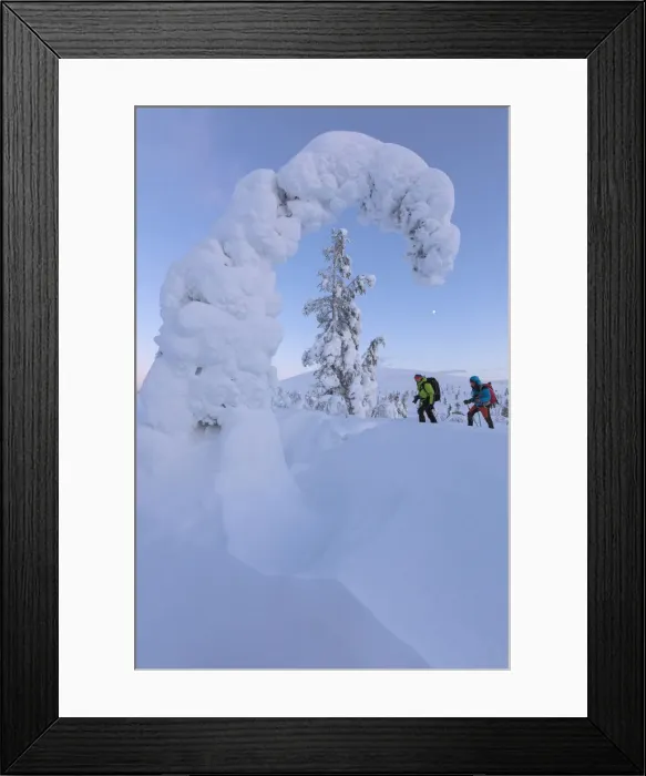 Framed Print : Hikers on snowshoes, Pallas-Yllastunturi National Park, Muonio, Lapland, Finland (MR) Framed Print : Hikers on snowshoes, Pallas-Yllastunturi National Park, Muonio, Lapland, Finland (MR)