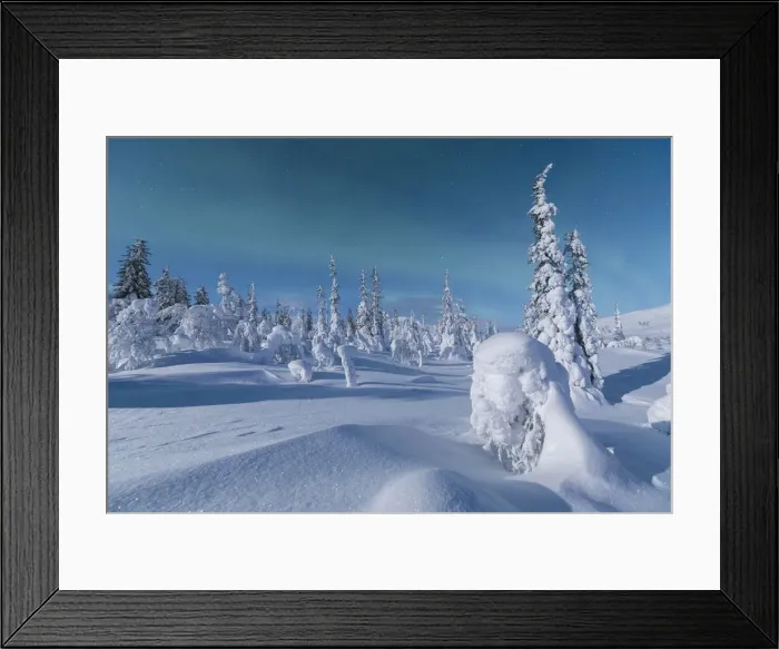 Framed Print : Northern lights on forest covered with snow, Pallas-Yllastunturi National Park, Muonio