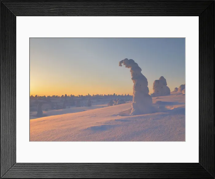 Framed Print : Frozen trees of Riisitunturi hill, Riisitunturi national park, posio, lapland, finland
