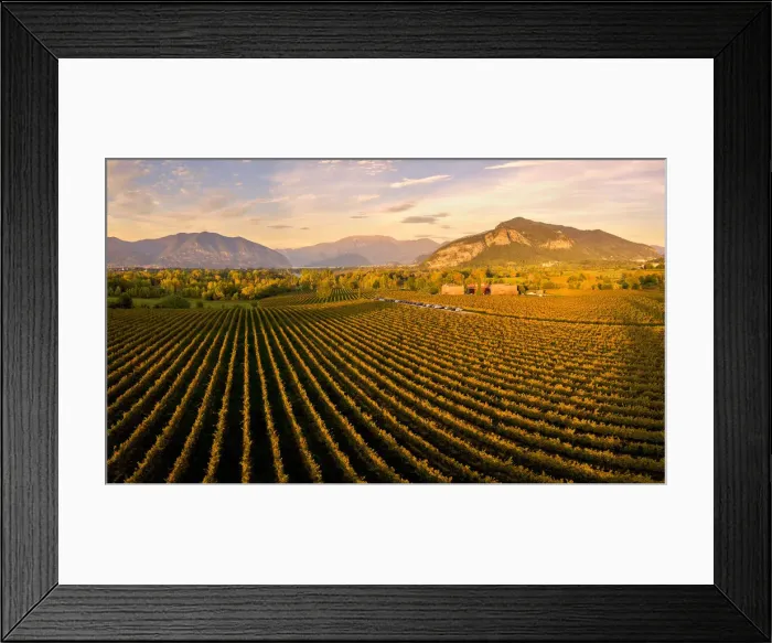 Framed Print : Franciacorta aerial view, Lombardy district, Brescia province, Italy Framed Print : Franciacorta aerial view, Lombardy district, Brescia province, Italy