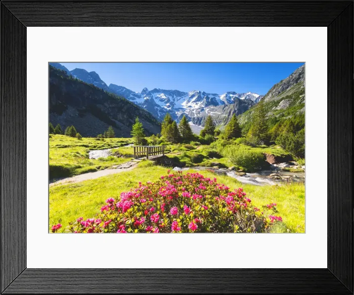 Framed Print : Aviolo lake in Adamello park, Lombardy district, Brescia province, Vallecamonica, Italy Framed Print : Aviolo lake in Adamello park, Lombardy district, Brescia province, Vallecamonica, Italy