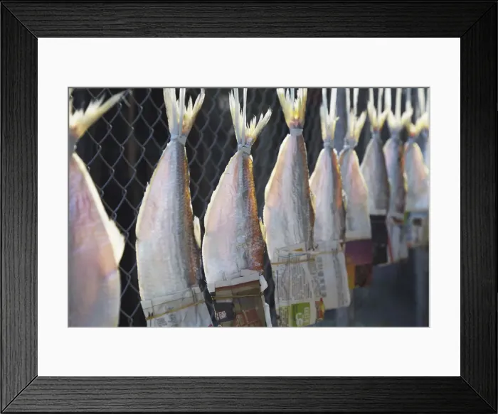 Framed Print : Dried fish hanging in fishing village, Ma Wan, Hong Kong, China Framed Print : Dried fish hanging in fishing village, Ma Wan, Hong Kong, China