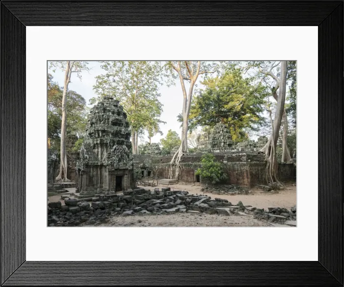 Framed Print : Asia, Cambodia, Siem Reap, UNESCO, World Heritage, Angkor, Ta Prohm Framed Print : Asia, Cambodia, Siem Reap, UNESCO, World Heritage, Angkor, Ta Prohm