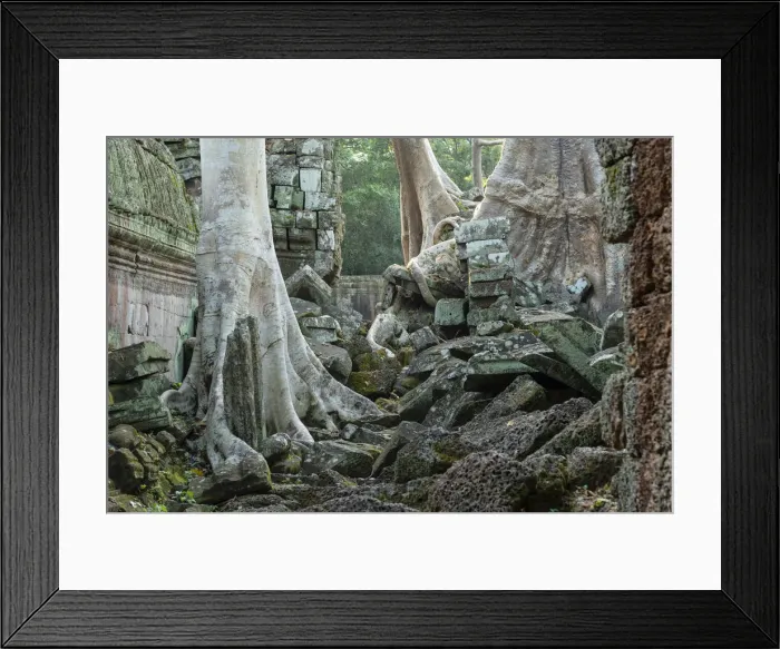 Framed Print : Asia, Cambodia, Siem Reap, UNESCO World Heritage, Angkor, Ta Prohm