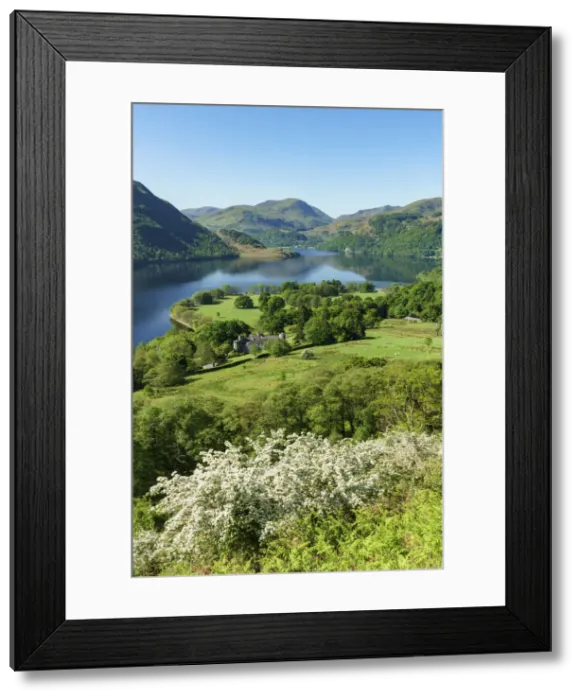 Framed Print : Europe, United Kingdom, England, Cumbria, Lake District, Ullswater, Yew Crag On Gowbarrow Framed Print : Europe, United Kingdom, England, Cumbria, Lake District, Ullswater, Yew Crag On Gowbarrow