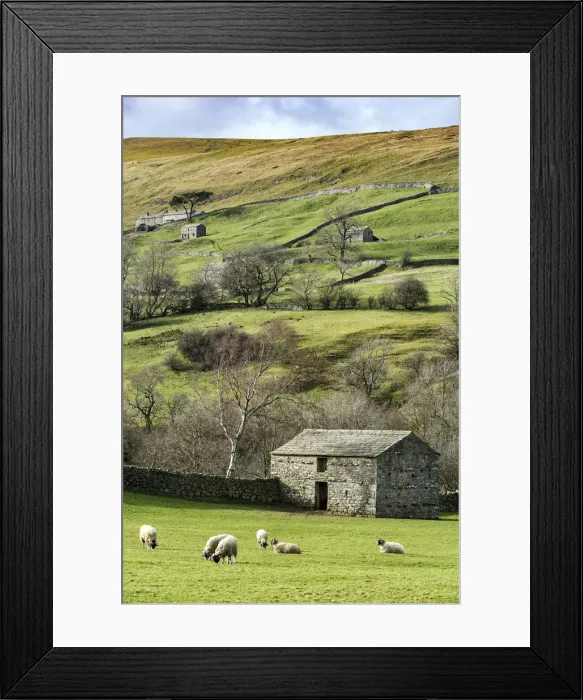 Framed Print : Europe, United Kingdom, England, North Yorkshire, Yorkshire Dales National Park Framed Print : Europe, United Kingdom, England, North Yorkshire, Yorkshire Dales National Park