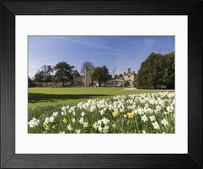 Framed Print : Bolton Hall with daffodils, Bolton Abbey, Yorkshire Dales National Park, North Yorkshire Framed Print : Bolton Hall with daffodils, Bolton Abbey, Yorkshire Dales National Park, North Yorkshire